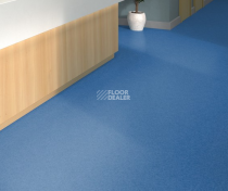 Tarkett iq Melodia 2647 фото 2 | FLOORDEALER